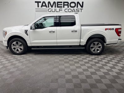 2022 Ford F-150 Platinum