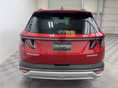 2025 Hyundai Tucson Hybrid Limited