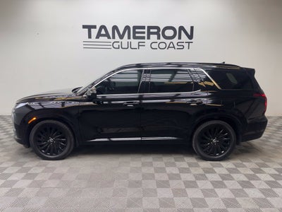 2025 Hyundai Palisade Calligraphy Night Edition
