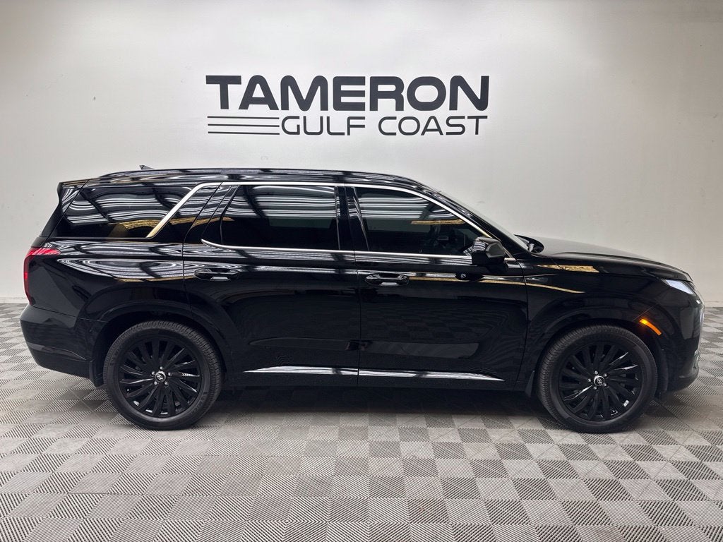 2025 Hyundai Palisade Calligraphy Night Edition