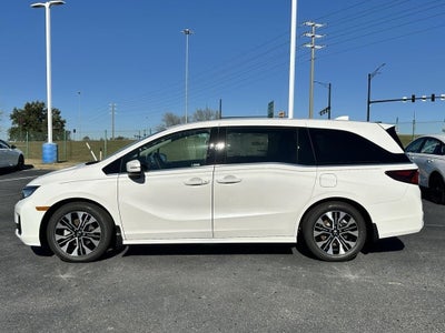 2026 Honda Odyssey Elite