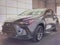 2024 Lexus NX 250 Base