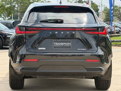 2022 Lexus NX 250 Base