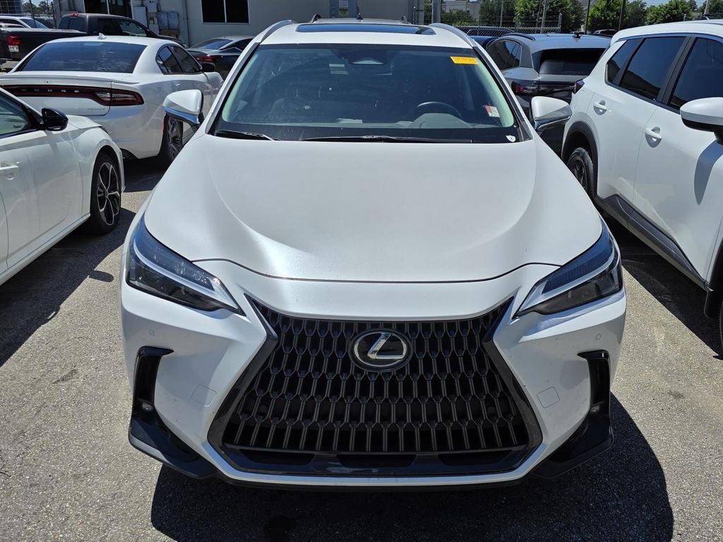 2023 Lexus NX 350 Premium
