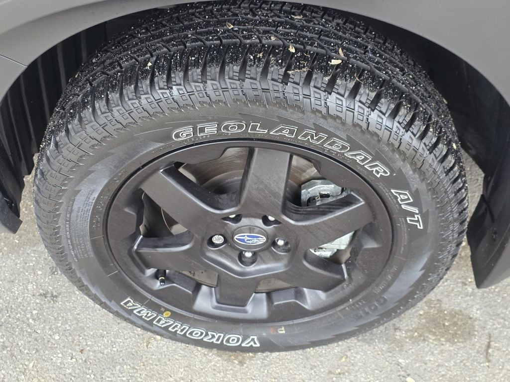 2025 Subaru Outback Wilderness
