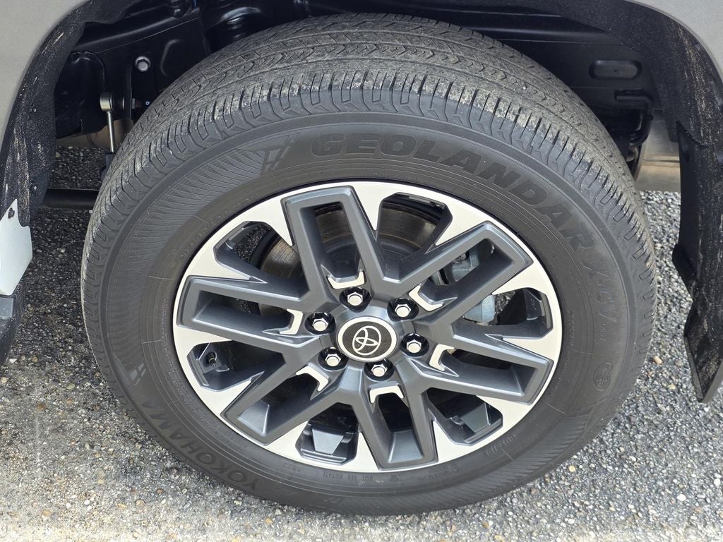 2024 Toyota Sequoia Limited